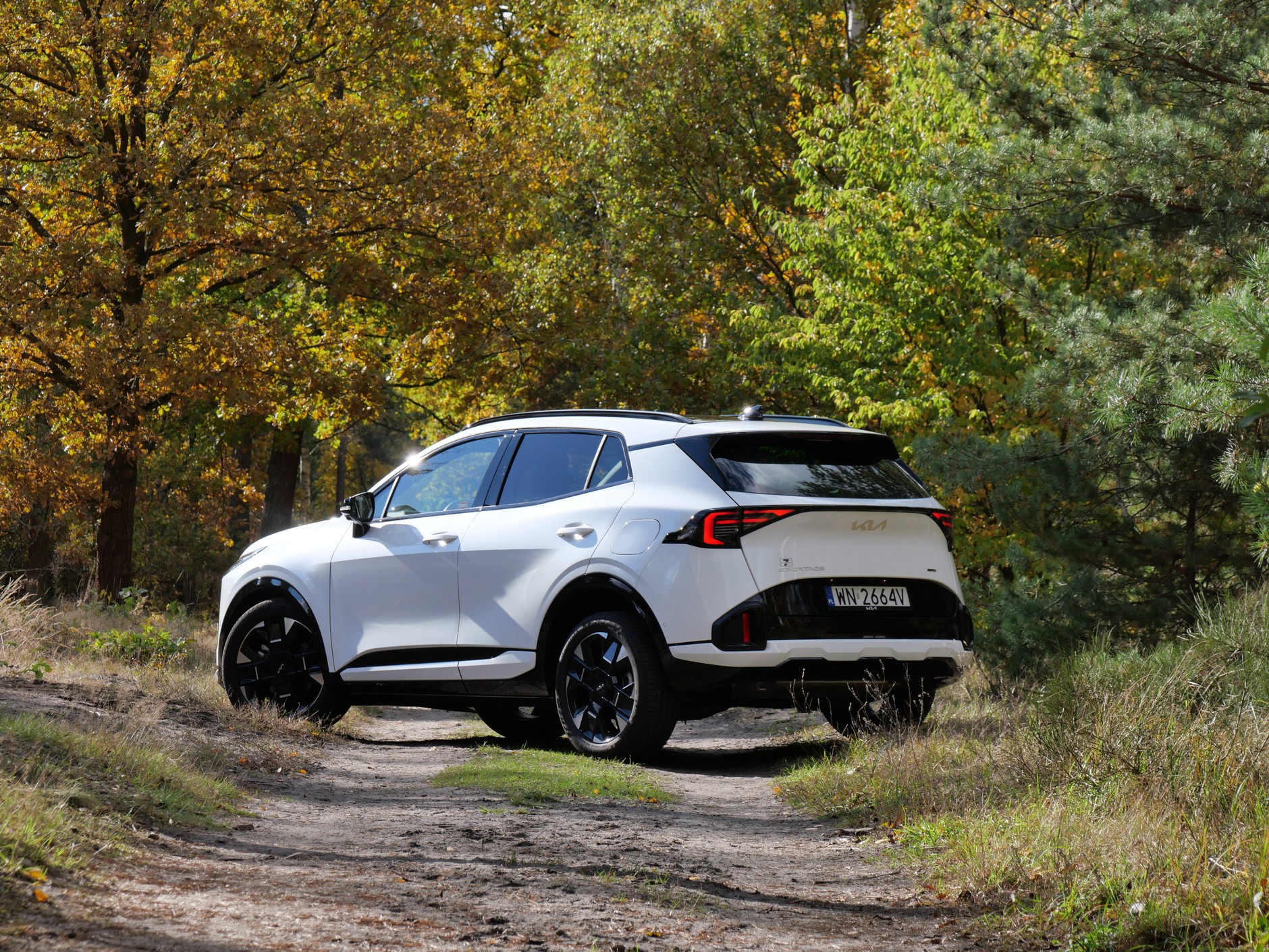 Kia Sportage 1.6 T-GDI AWD w wersji GT Line