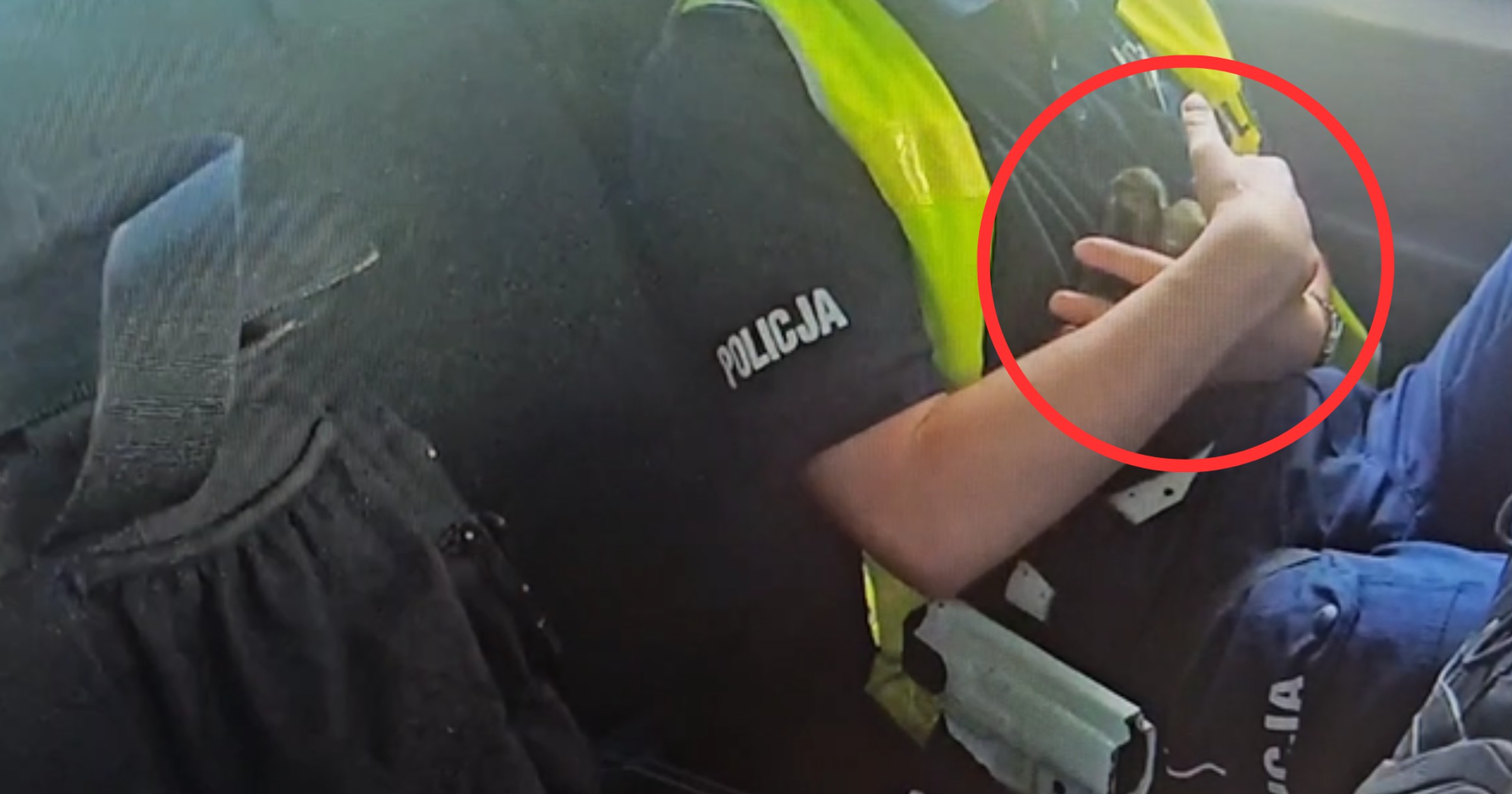 Policjantom z białostockiej drogówki udało się odnaleźć mamę zagubionych kaczątek