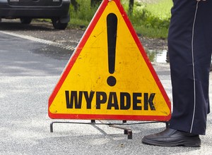Pod Serockiem wywróciła się ciężarówka przewożąca świnie