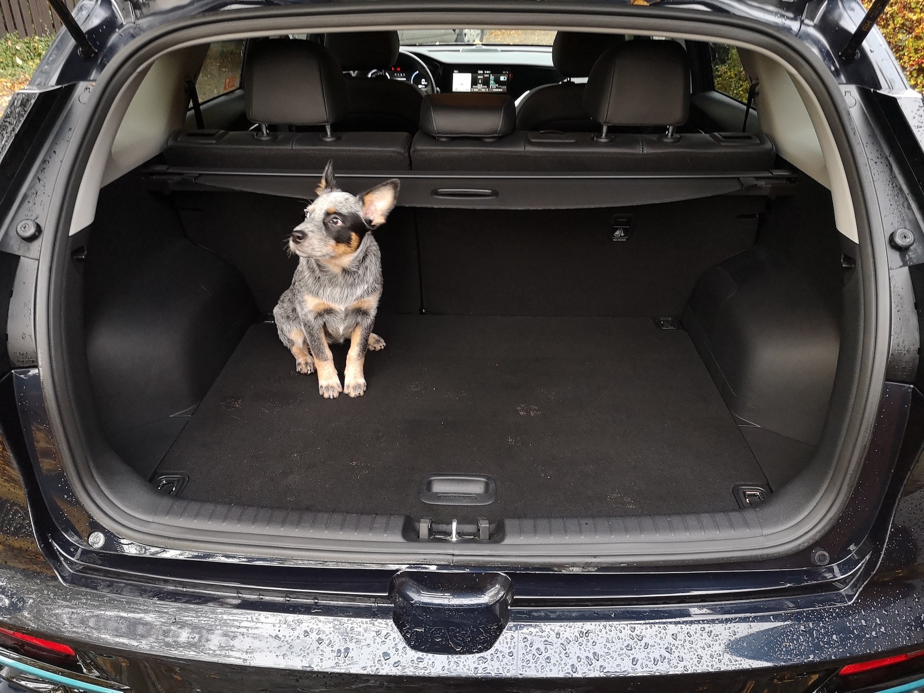 Kia e-Niro 64 kWh „L”