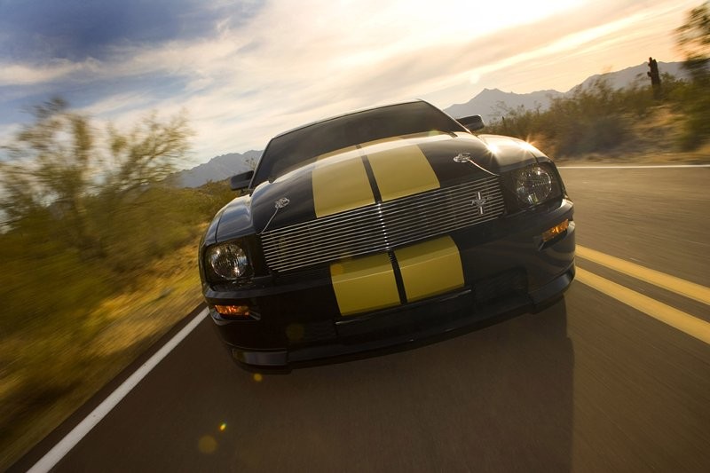 Ford Shelby GT350-H: z wypożyczalni na półki sklepowe