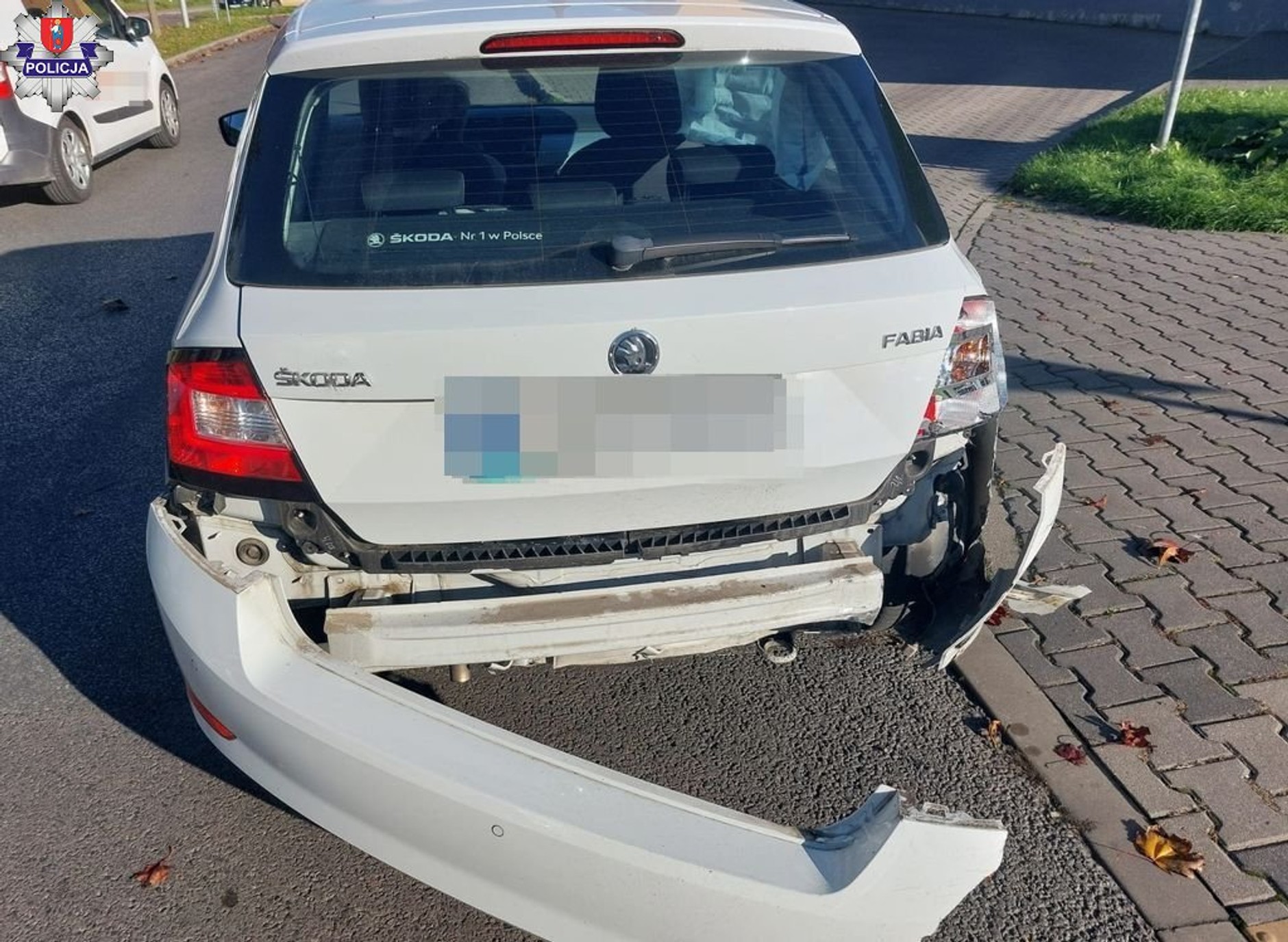Źródło: zamosc.policja.gov.pl/policja.pl
