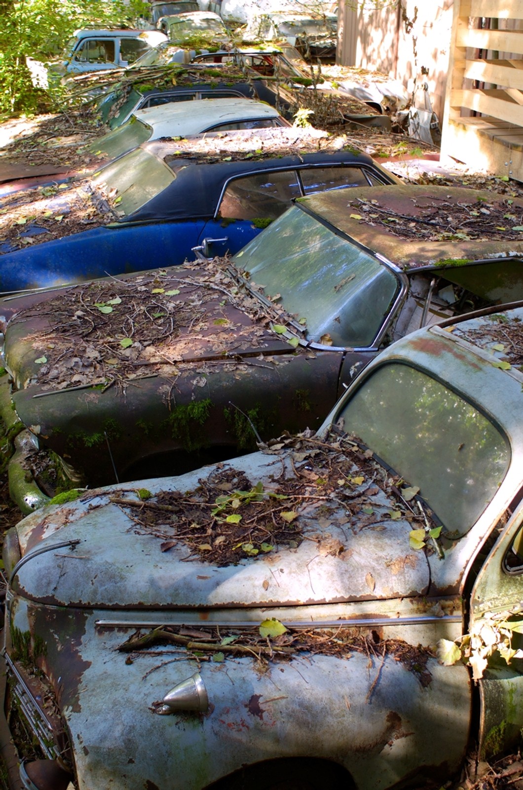 Najpiękniejsze złomowisko świata