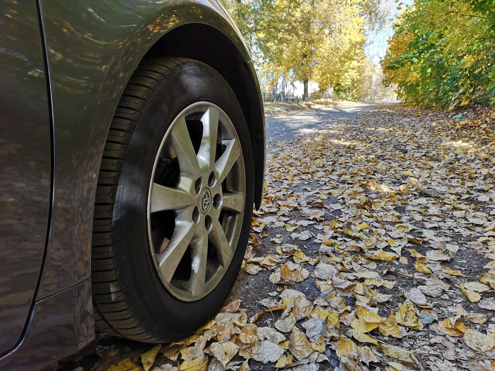 Wystarczy trochę deszczu i na drodze pełnej liści robi się bardzo ślisko