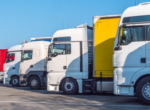 Czy wiesz, co znaczy Dżangłera? Wyjaśniamy tajemnicę "truckerów"