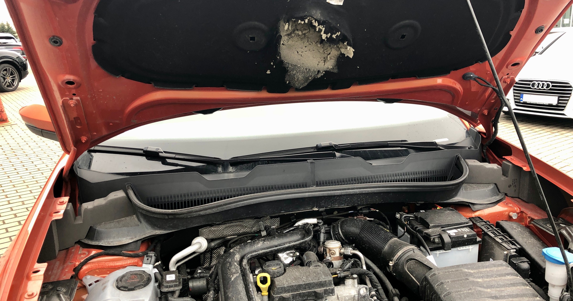 Jedzenie pod maską i zapach moczu? Możesz być pewny, że kuna uznała auto za swoje