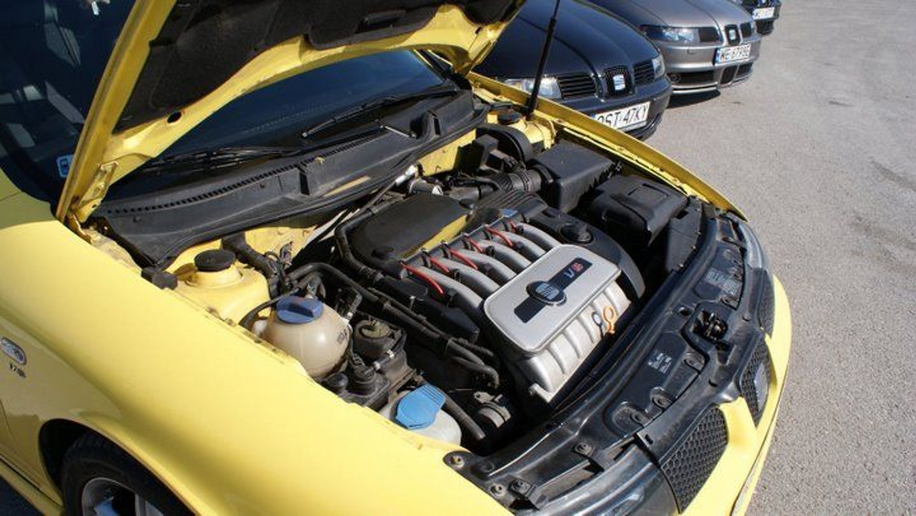 VI. Ogólnopolski Zlot LeonClub Team: bezpiecznie i z gracją (fotogaleria)