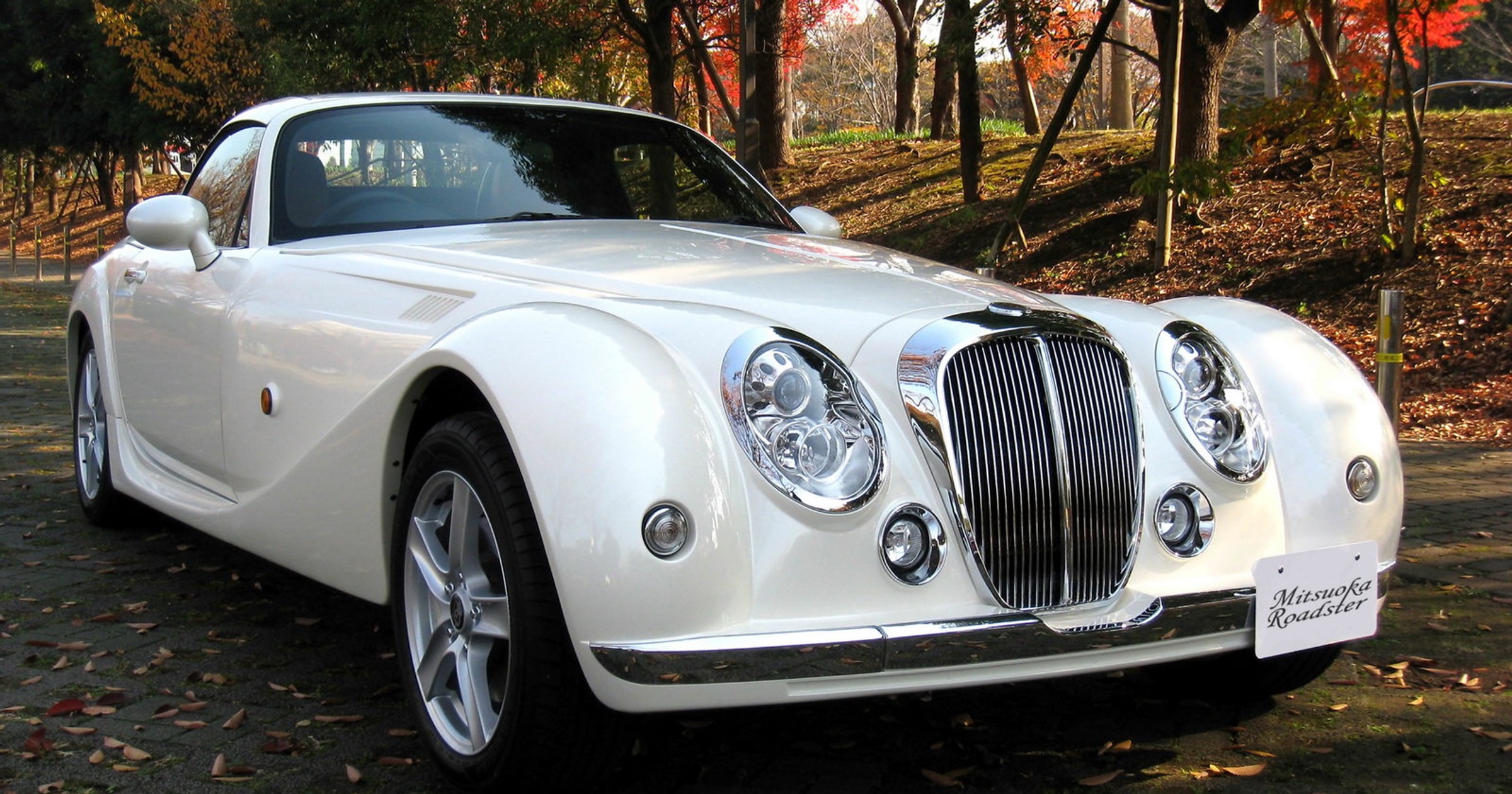 Mitsuoka Roadster