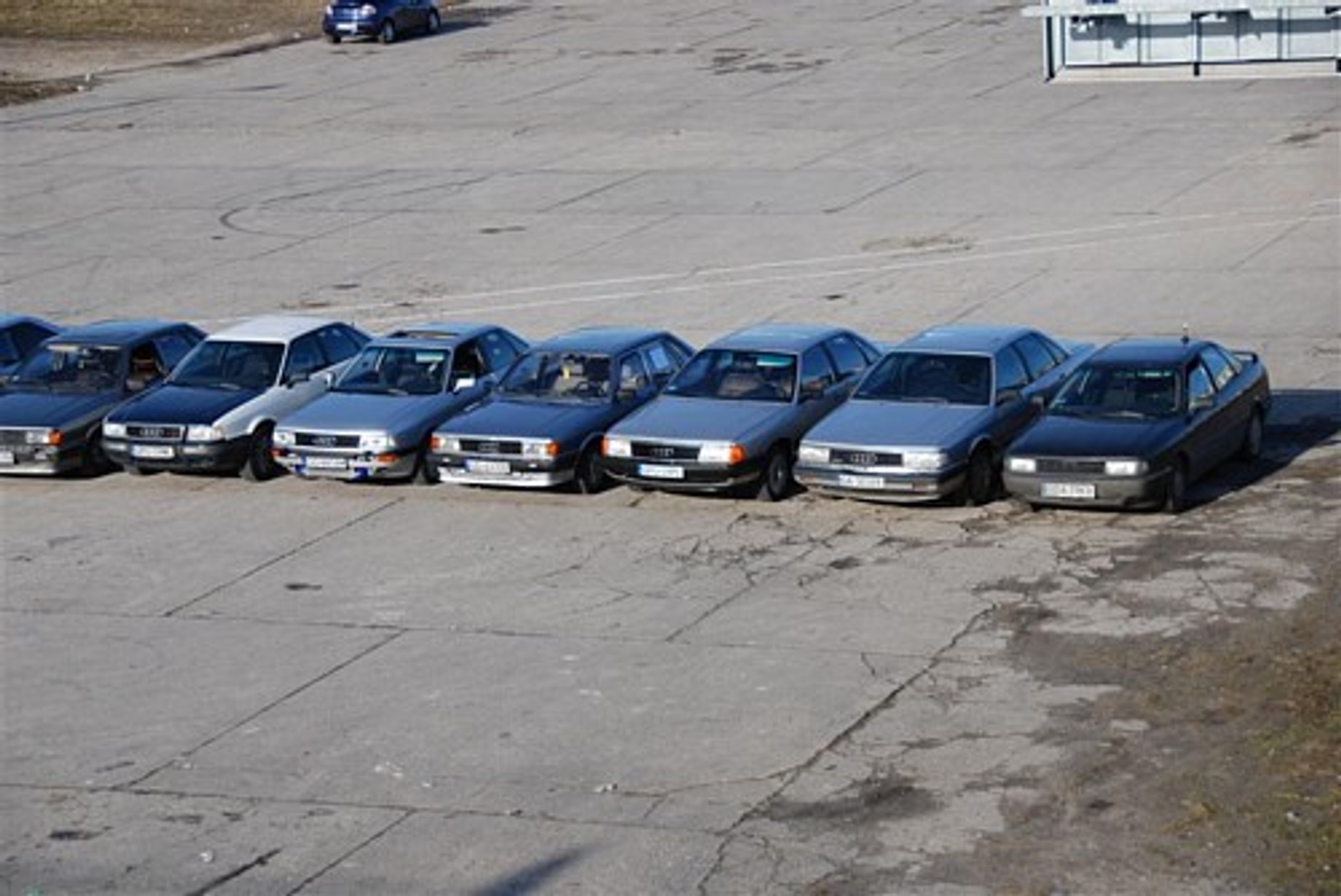 Relacja ze zlotu Pomorskiego Klubu Audi