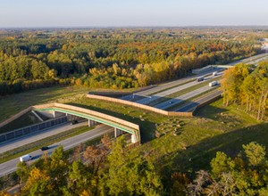 Takie przejścia dla zwierząt to codzienność na polskich drogach. Ich koszty są ogromne, ale są niezbędne