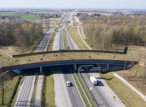 Nowa trasa S19, czyli wygodne połączenie między Rzeszowem a Warszawą