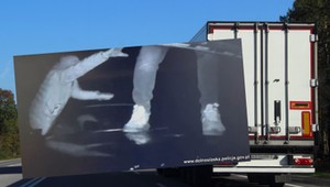 "Szybcy i wściekli" w Polsce. Podjeżdżali BMW i okradali ciężarówki w ruchu [WIDEO]