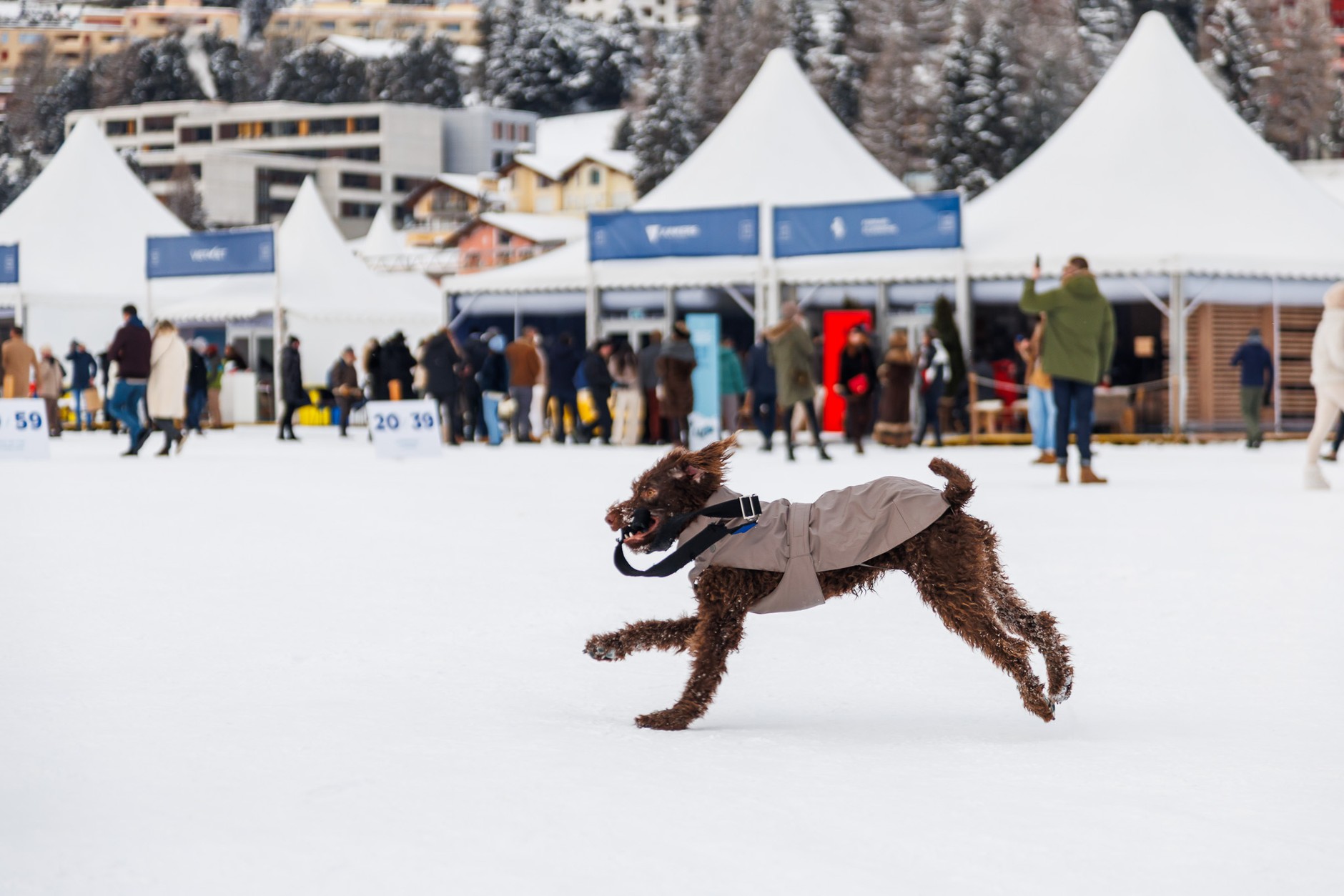 Międzynarodowy konkurs elegancji THE ICE w Sankt Moritz w Szwajcarii