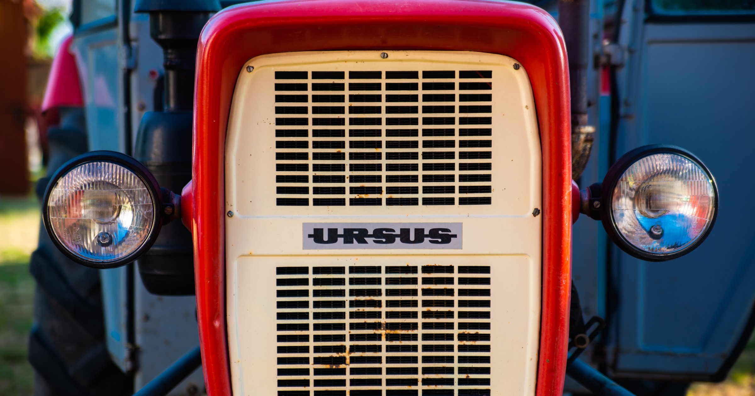 Ursus