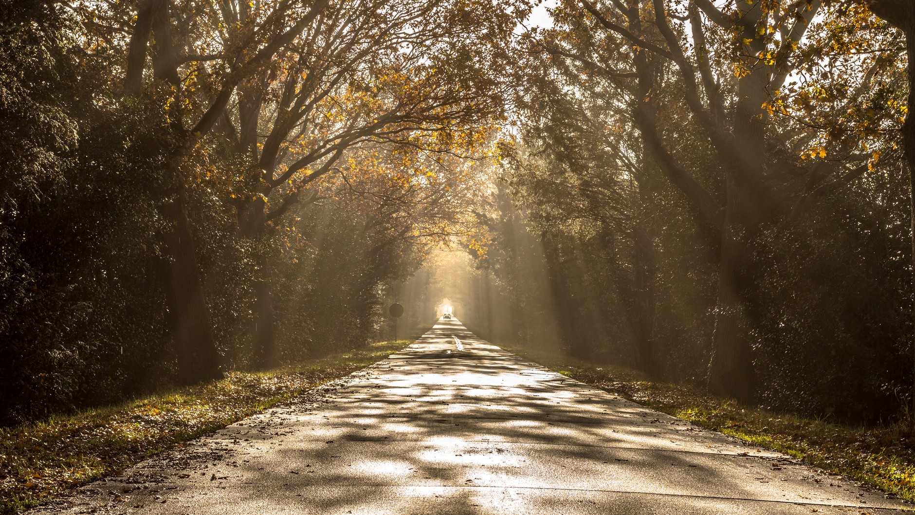 Efekt zebry męczy wzrok i powoduje dekoncentrację podczas jazdy