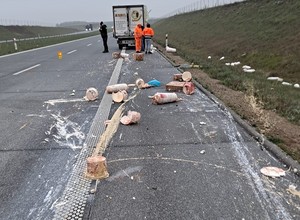 Niecodzienny widok na trasie S7. Na drogę wysypało się ulubione danie Polaków
