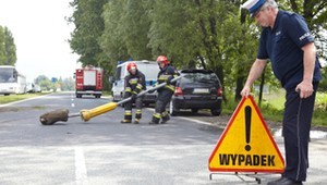 Kolizja drogowa czy wypadek?