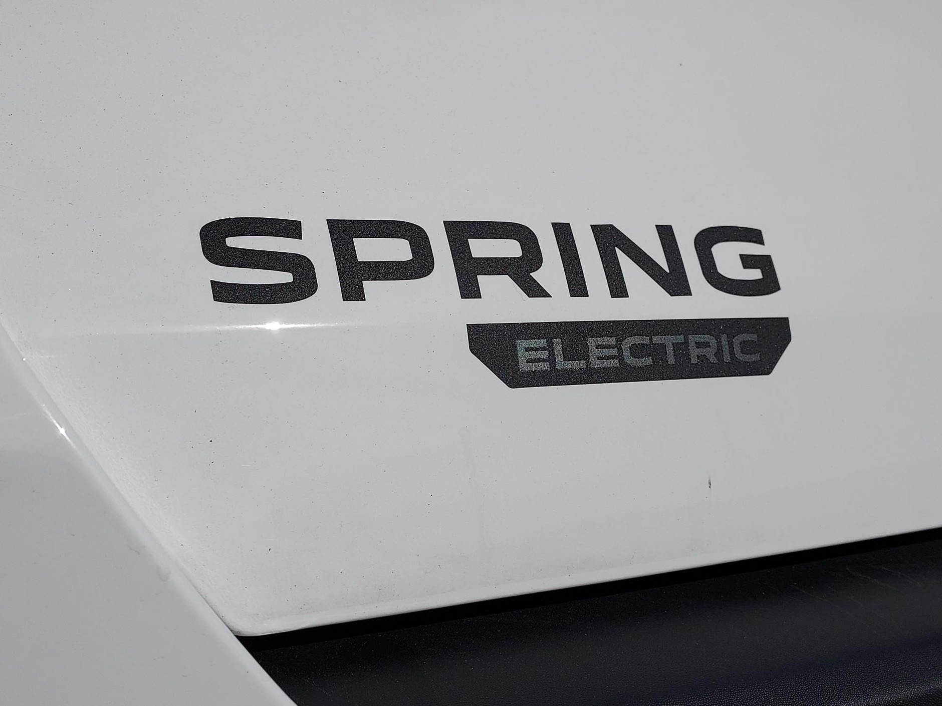 Dacia Spring Cargo