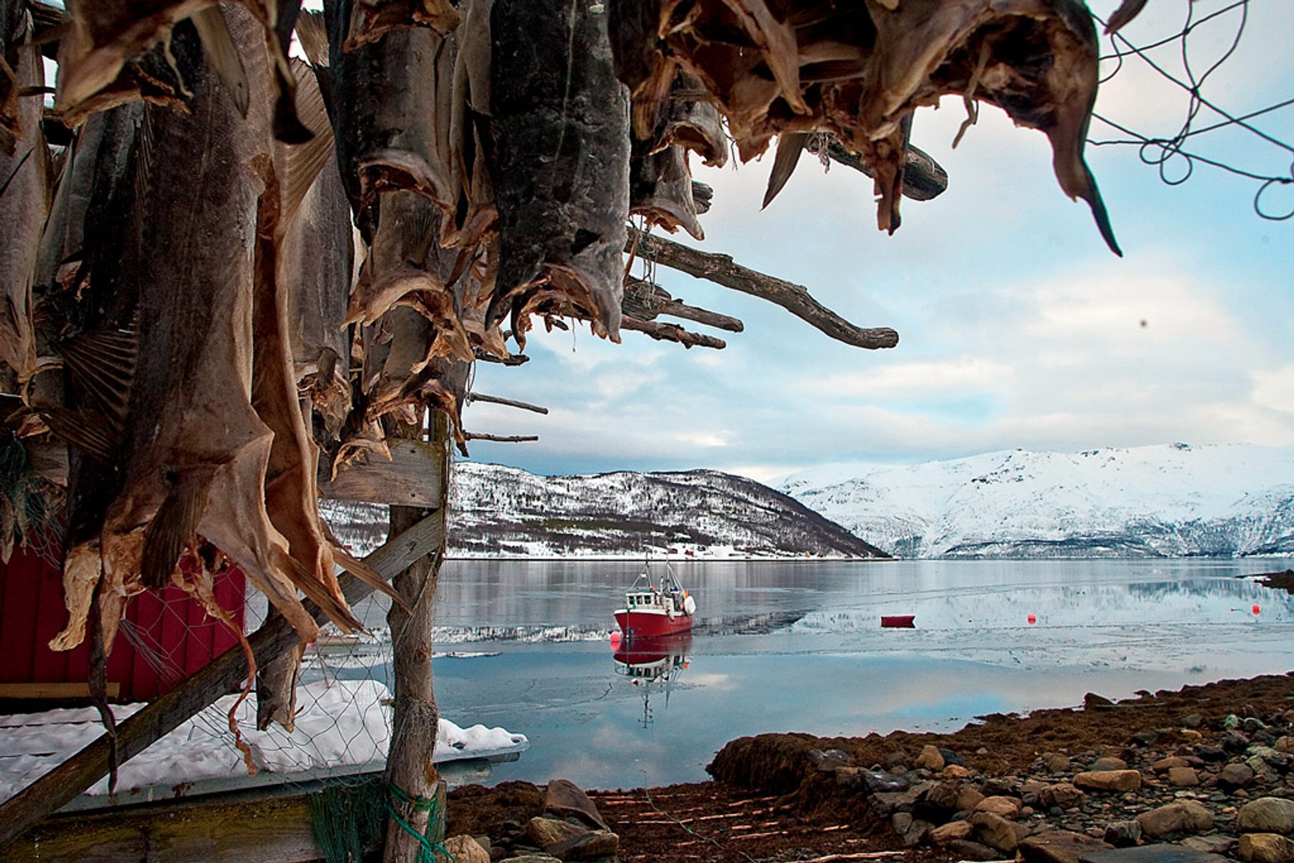 Turystyka off-road: gdzie warto wyjechać, Skandynawia i Islandia