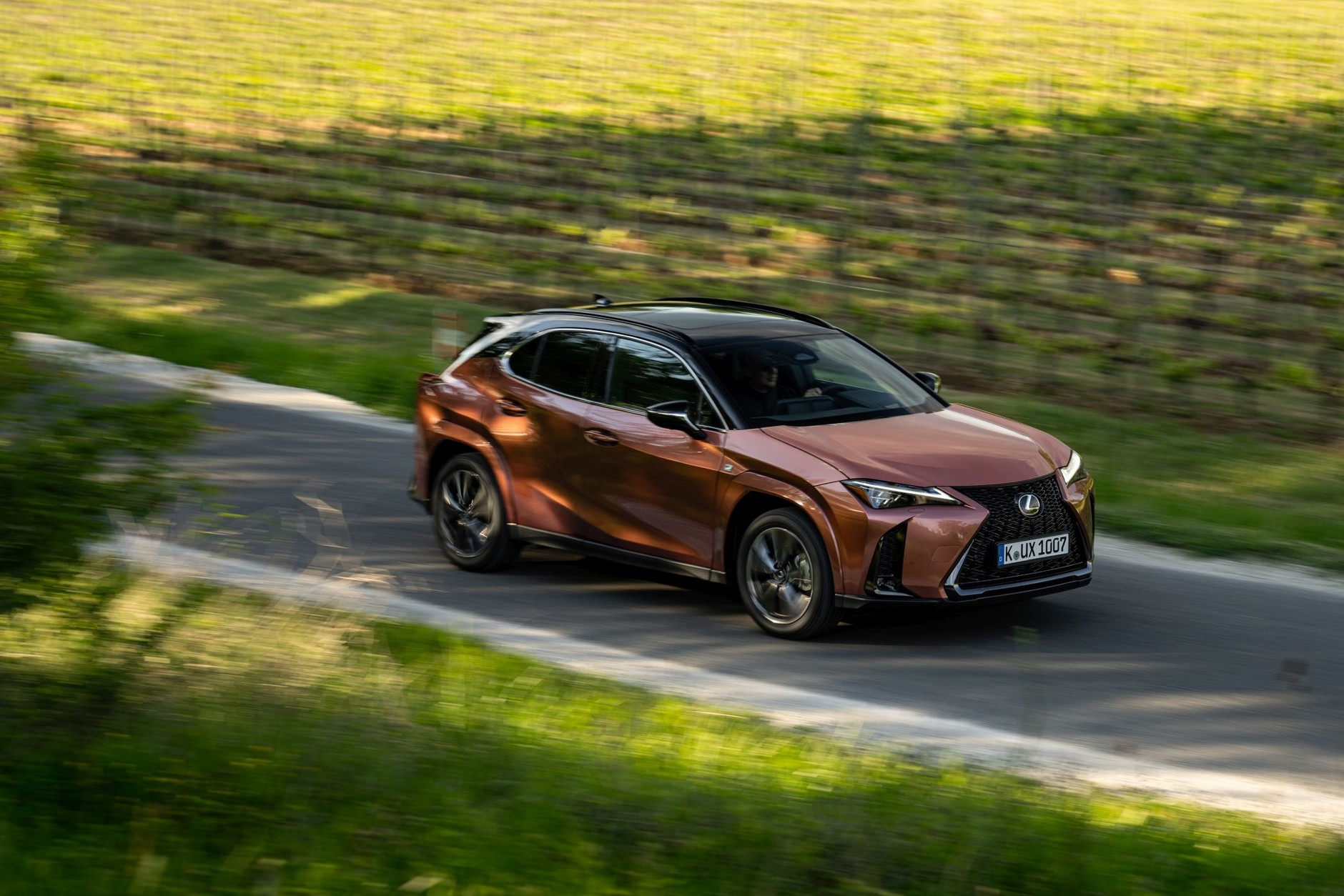 Lexus UX 300h