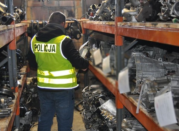 Policja zlikwidowała dziuplę pod Radzyniem Podlaskim [Film]