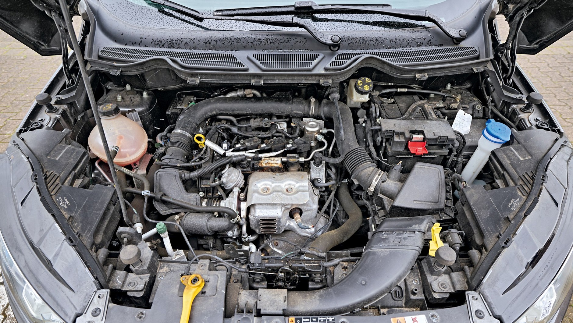 Ford EcoSport – poradnik kupującego