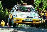 Nie boję się WRC