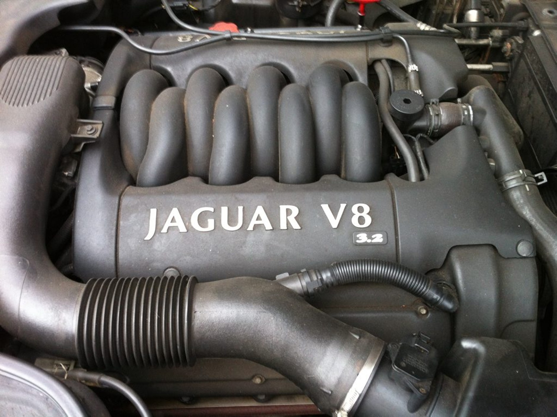 Jaguar – silnik 3.2 V8