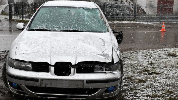 Samochód, konie i alkohol. Policjanci byli zdziwieni, gdy przyjechali do wypadku 