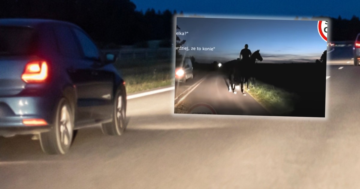 Nocą natknął się na drodze na konie. "Odblaski i oświetlenie »parzą«" (Screen: YouTube/Stop Cham)