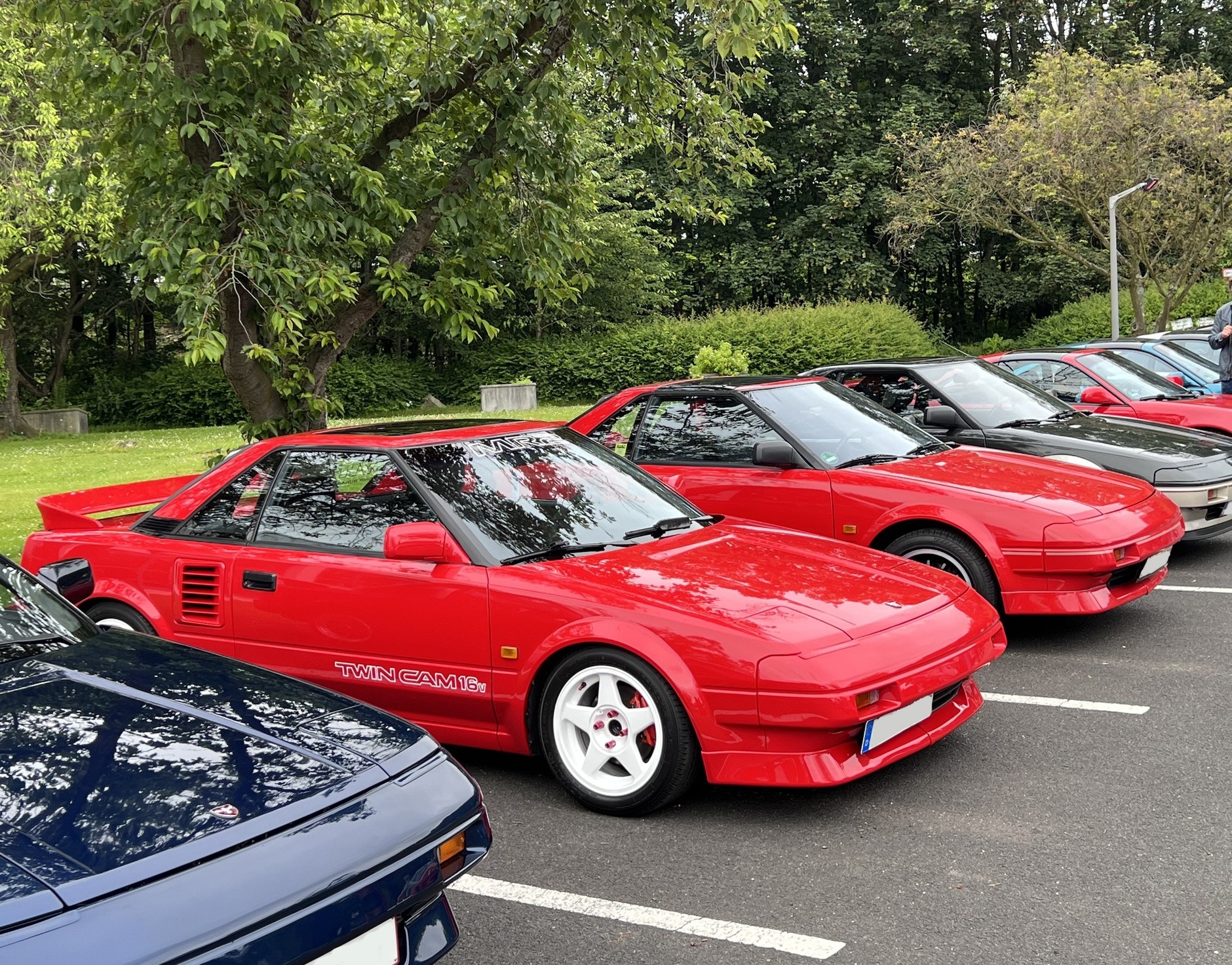 Toyota Collection