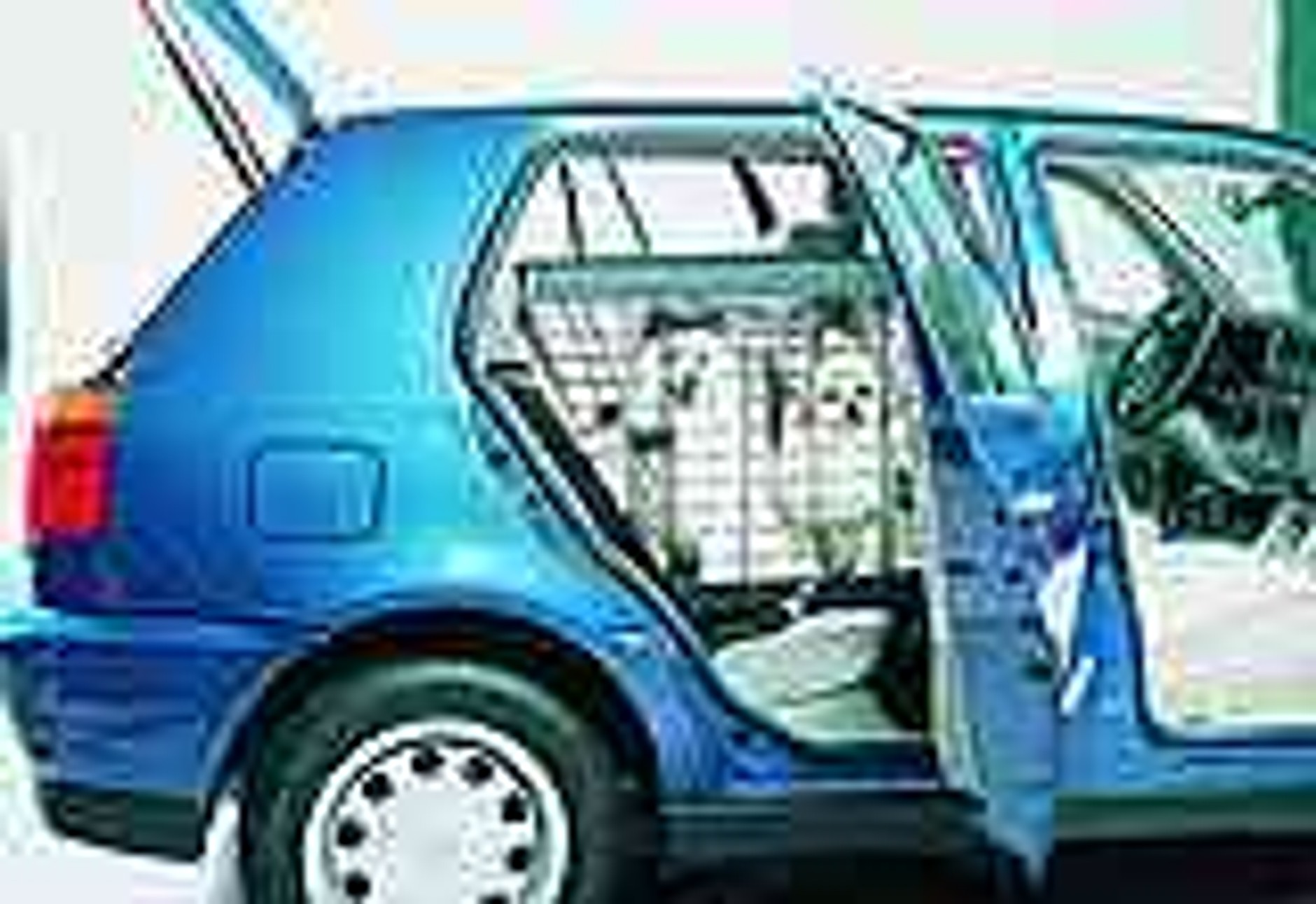 Pies też człowiek!