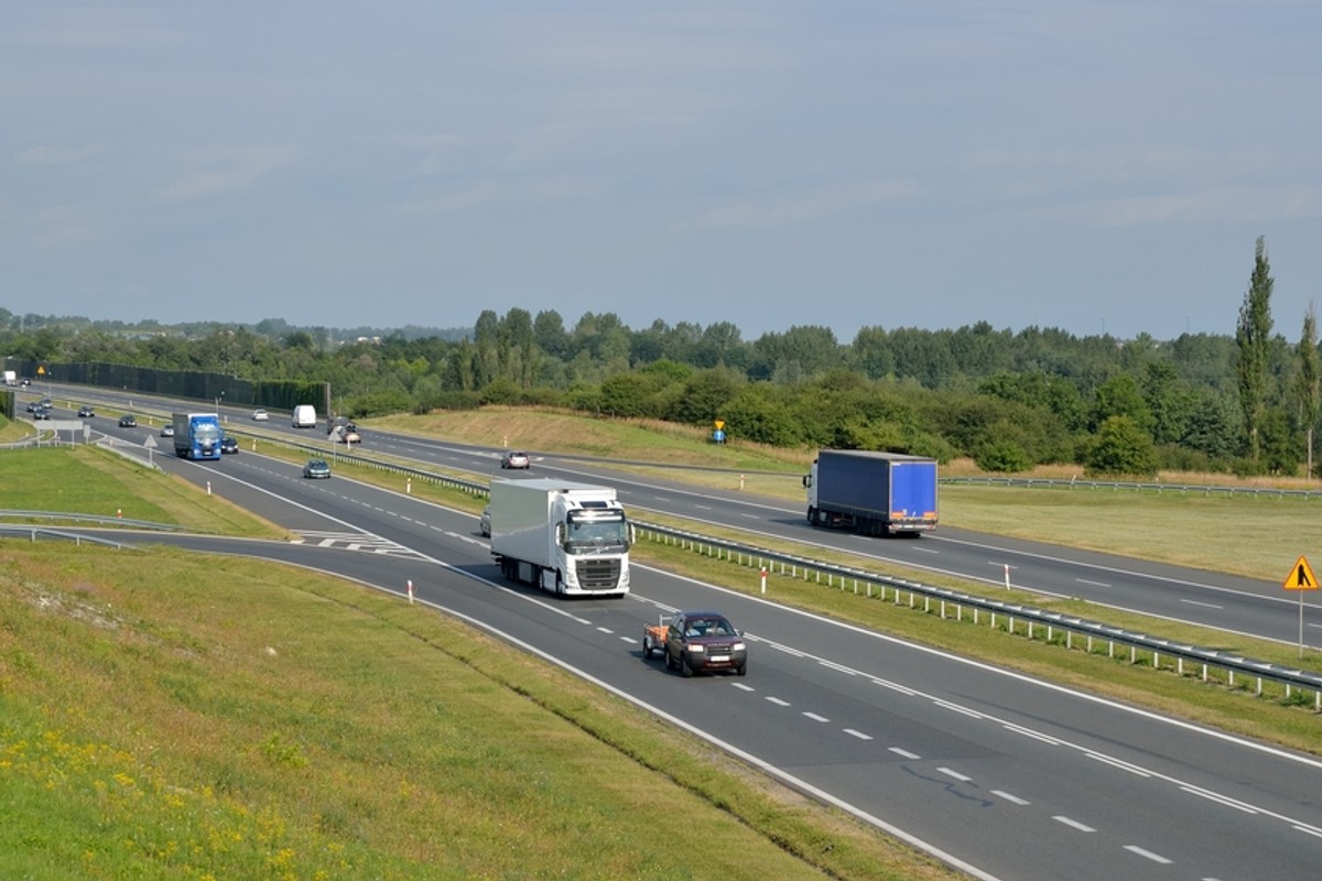 Wyścigi słoni to dalej duży problem na drogach. Nie mogą, a i tak to robią