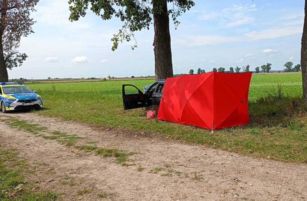 BMW na prostym odcinku drogi zjechało na pobocze i uderzyło w drzewo. Policjanci szukają świadków