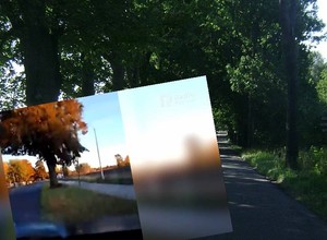 Tragiczny wypadek rejestrował na żywo na Facebooku. Uderzył w drzewo