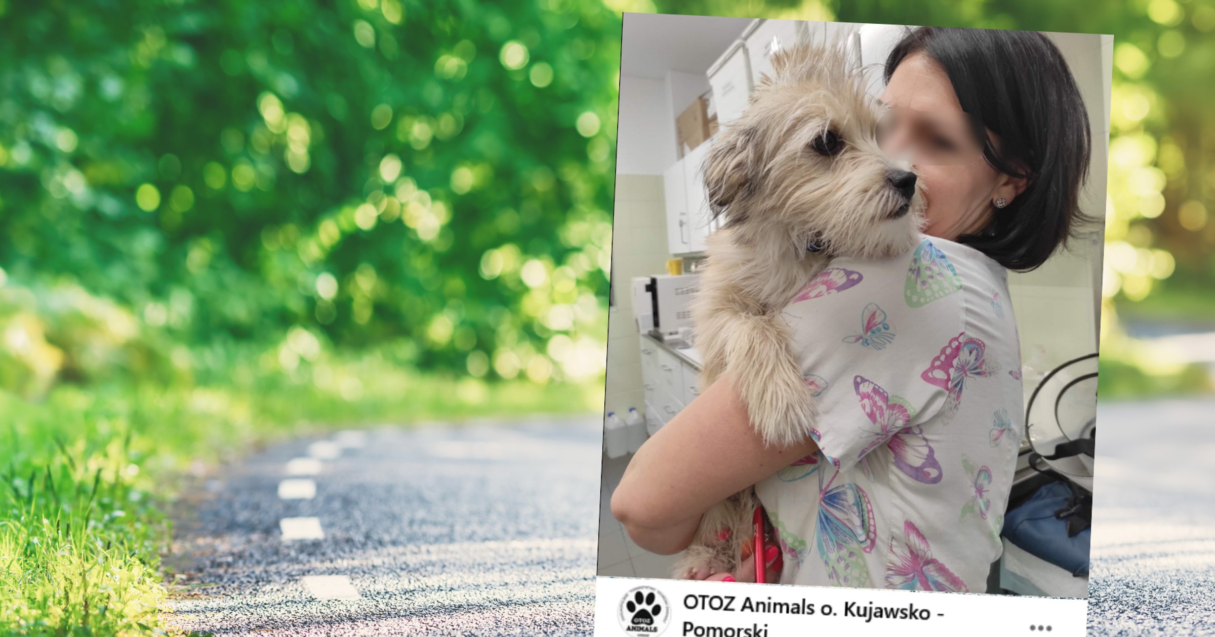 Mężczyzna został skazany (fot. screen z facebook.com/otoz.bydgoszcz)