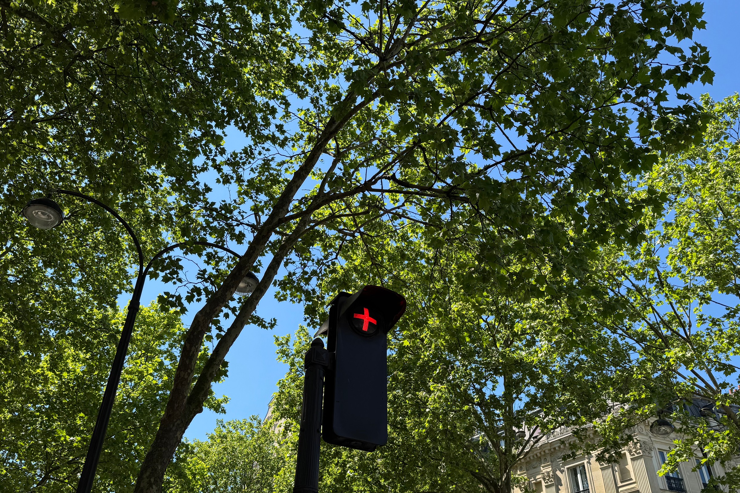 Sygnalizacja świetlna pokazuje czerwony plus. Co to oznacza?