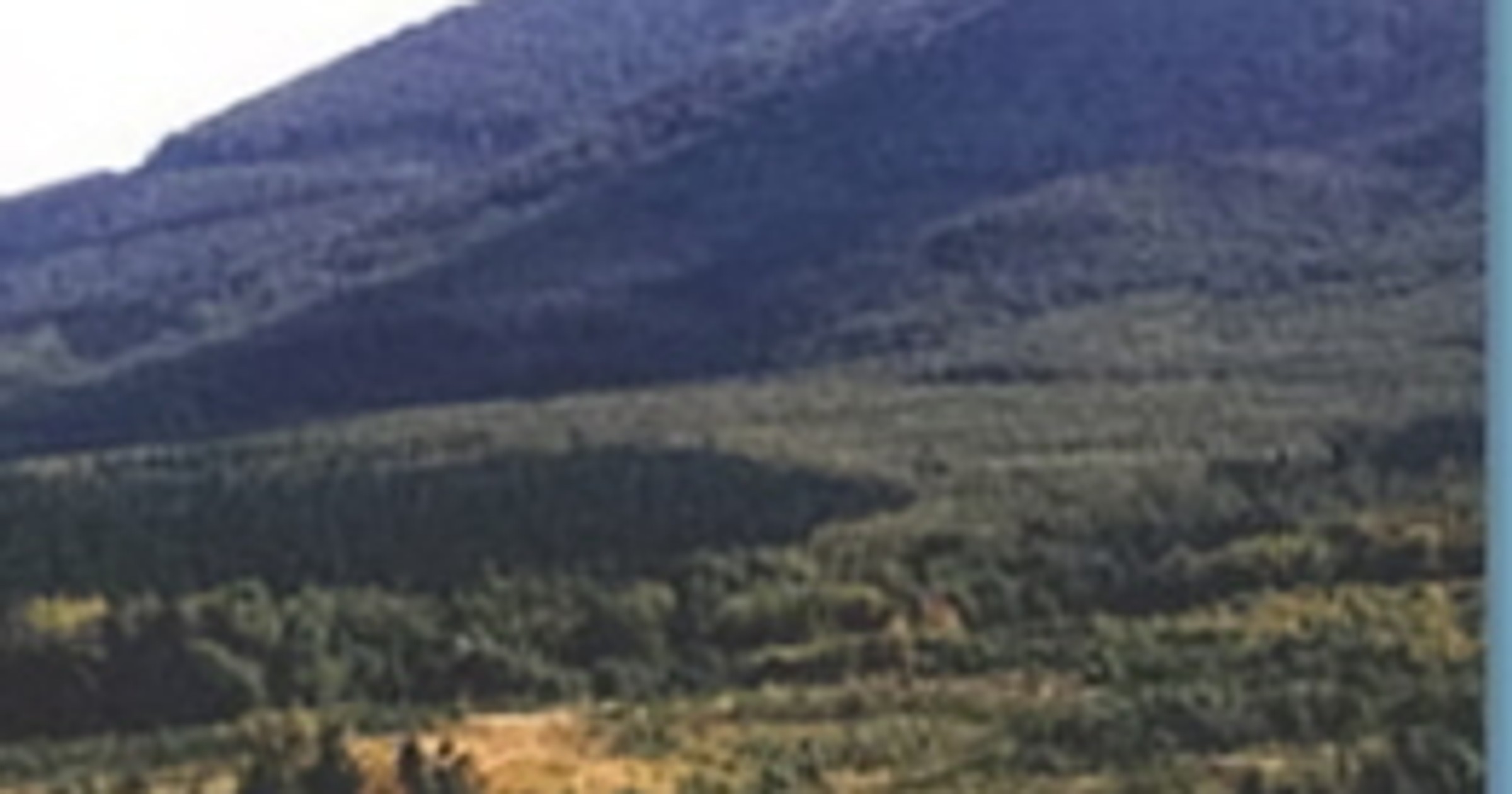 Zamberlan Adventure Trophy
