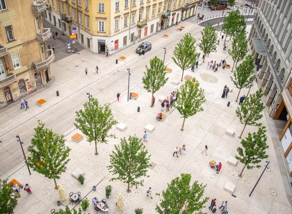 Plac Pięciu Rogów - Straż Miejska wystawiła tam ponad 400 mandatów