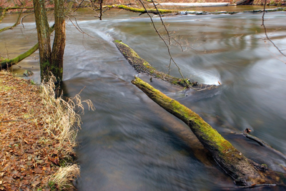Samochodem i... pieszo!