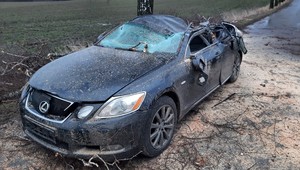 Lexus zmiażdżony przez drzewo. Kierująca autem miała więcej szczęścia