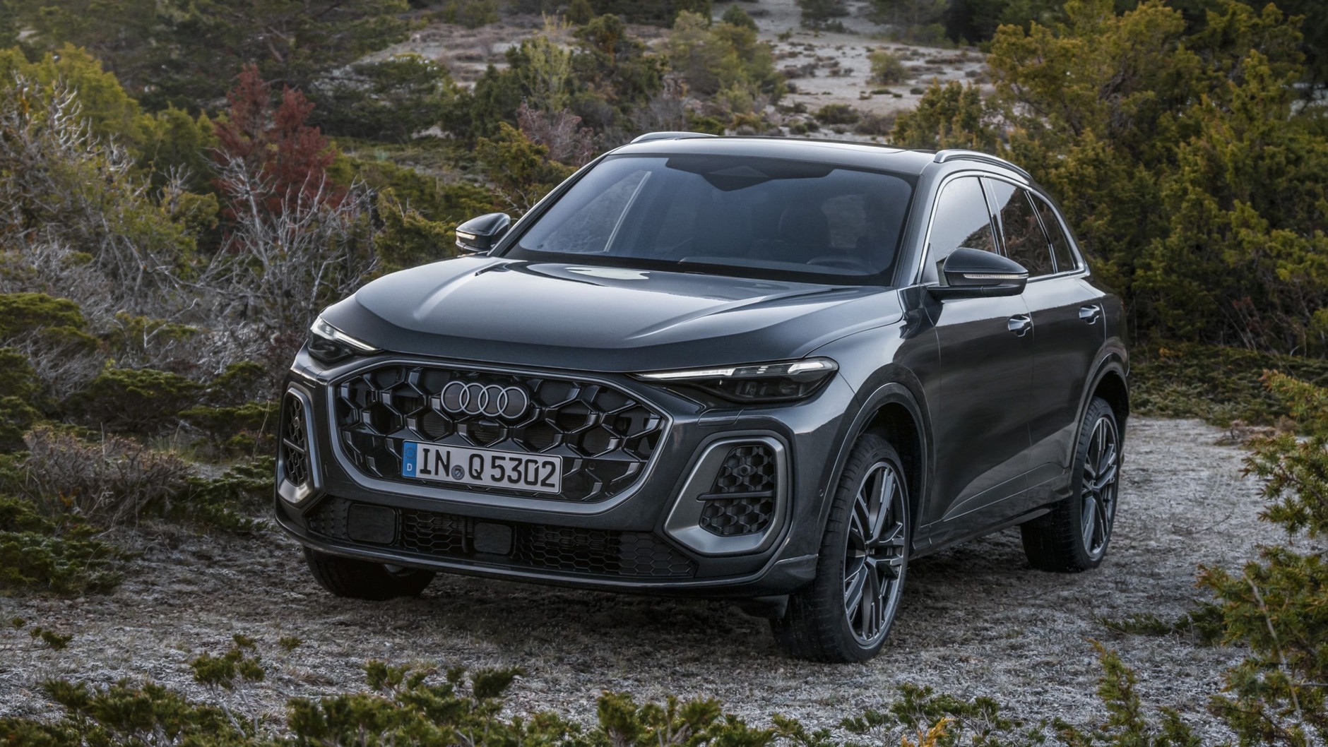 Audi Q5 (trzecia generacja; od 2024 r.)