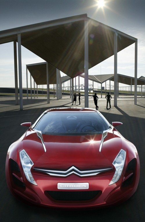 Citroën C-Métisse - Szlachetna półkrew