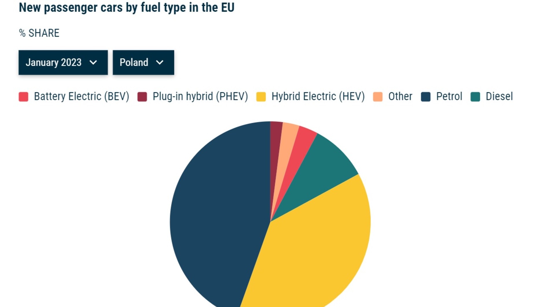 Sprzedaż nowych samochodów w Polsce (styczeń 2023)