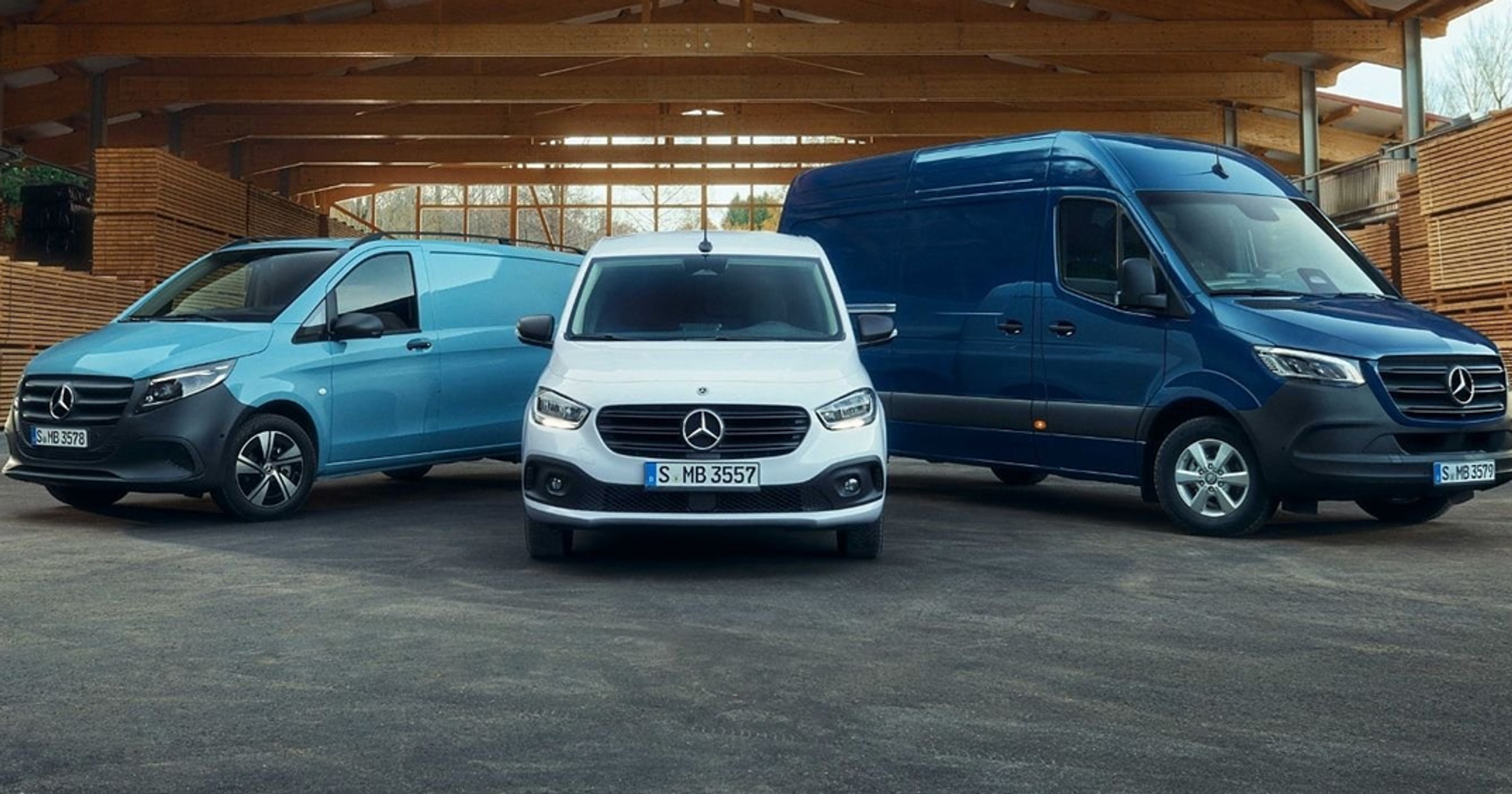 Wyprzedaż rocznika 2025