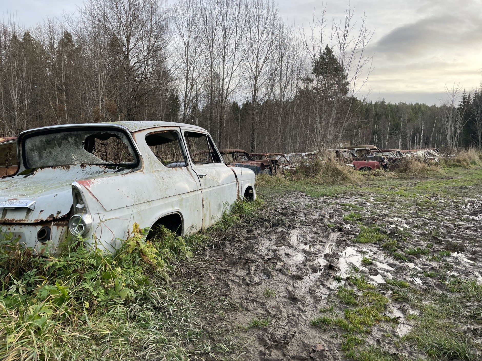 Cmentarzysko samochodów w Bastnas w Szwecji