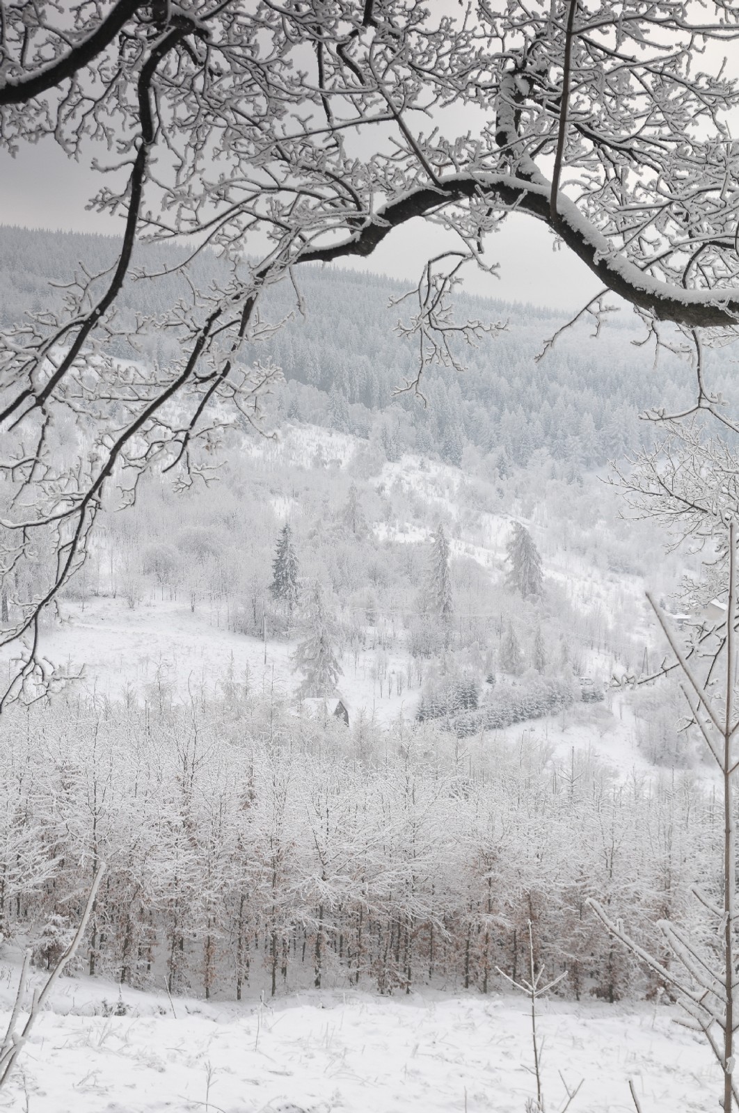 Terenowe zwiedzanie Polski