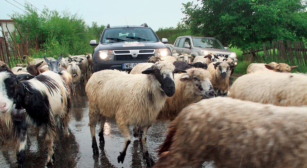Dacia Duster 1.5 DCI: teren jej nie straszny