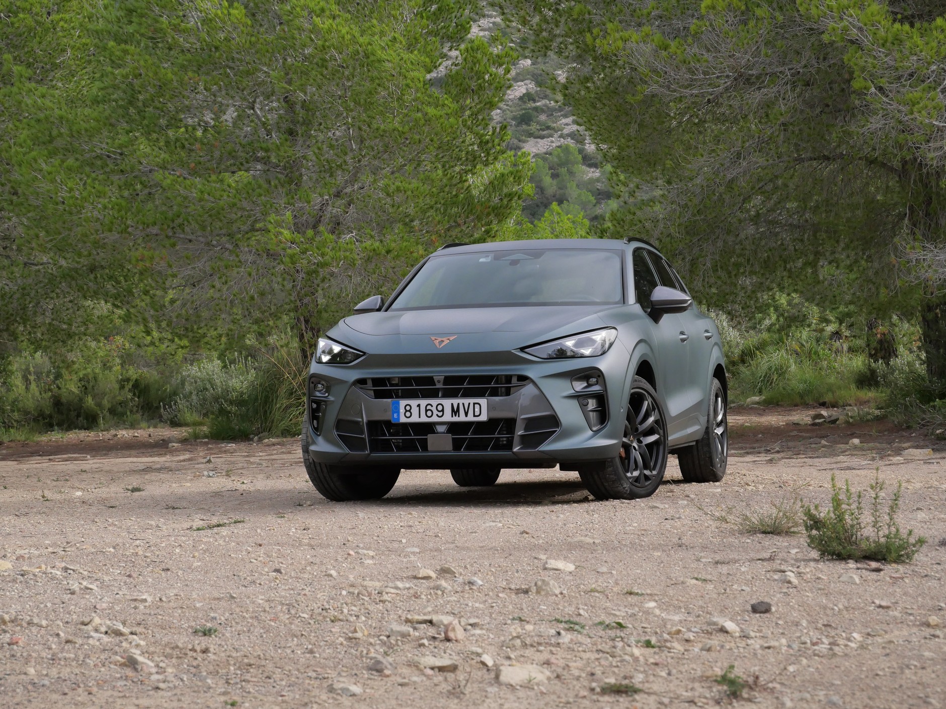 Cupra Terramar w wersji limitowanej America's Cup