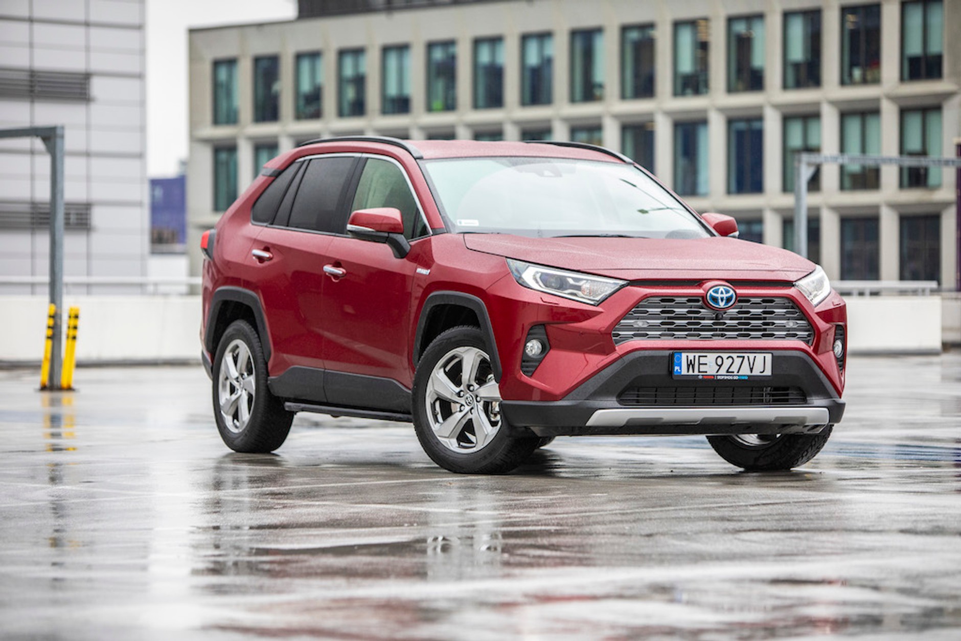 Polacy polubili hybrydy